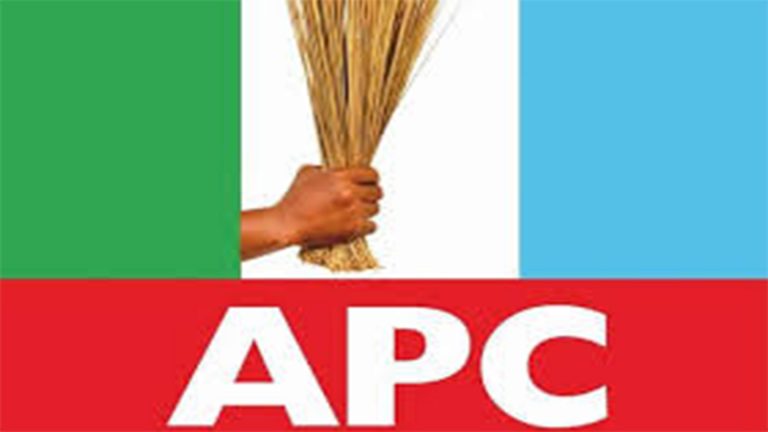 APC Women Demand Their Fair Share in Tinubu’s Government