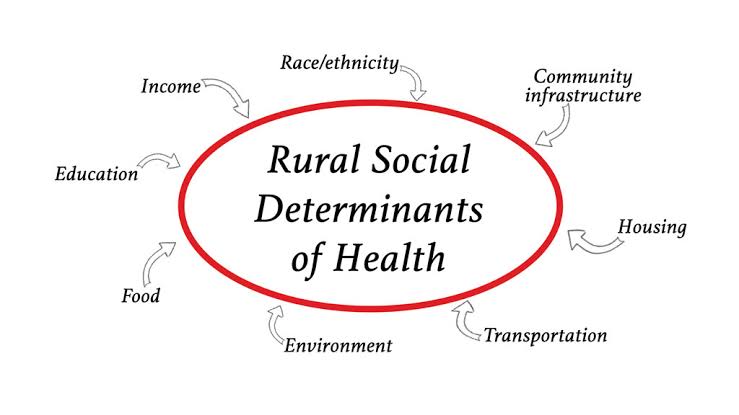 The Impact of Social Determinants on Health Outcomes